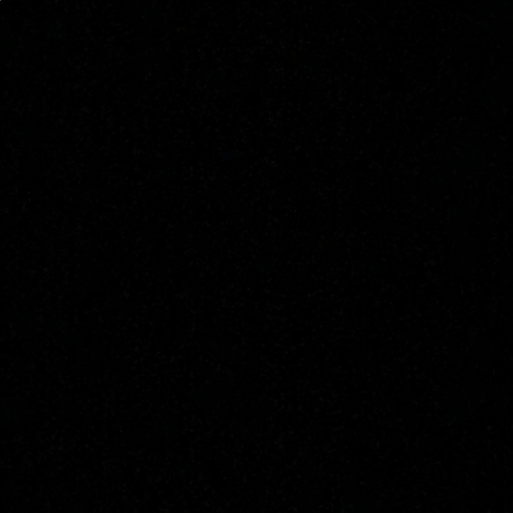 Meet your Posher, Delphine